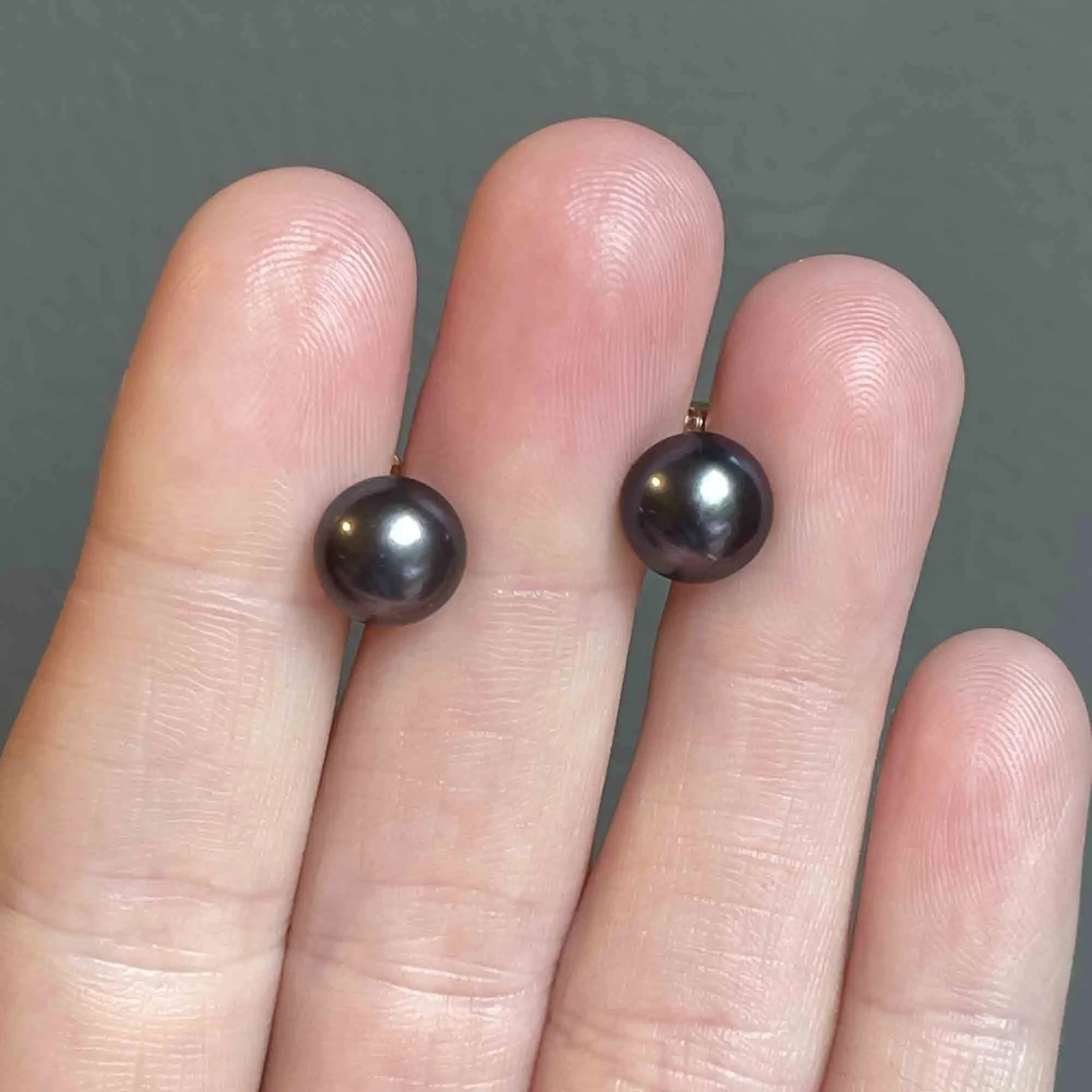 14K Gold Black Cultured Pearl Stud Earrings