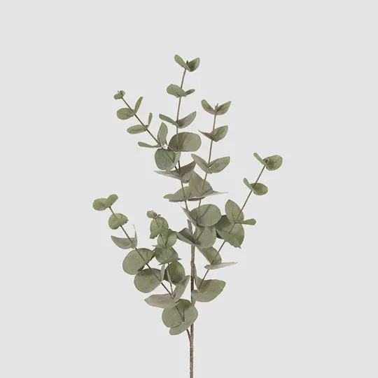 Eucalyptus Silver Dollar Forest Green 86cm